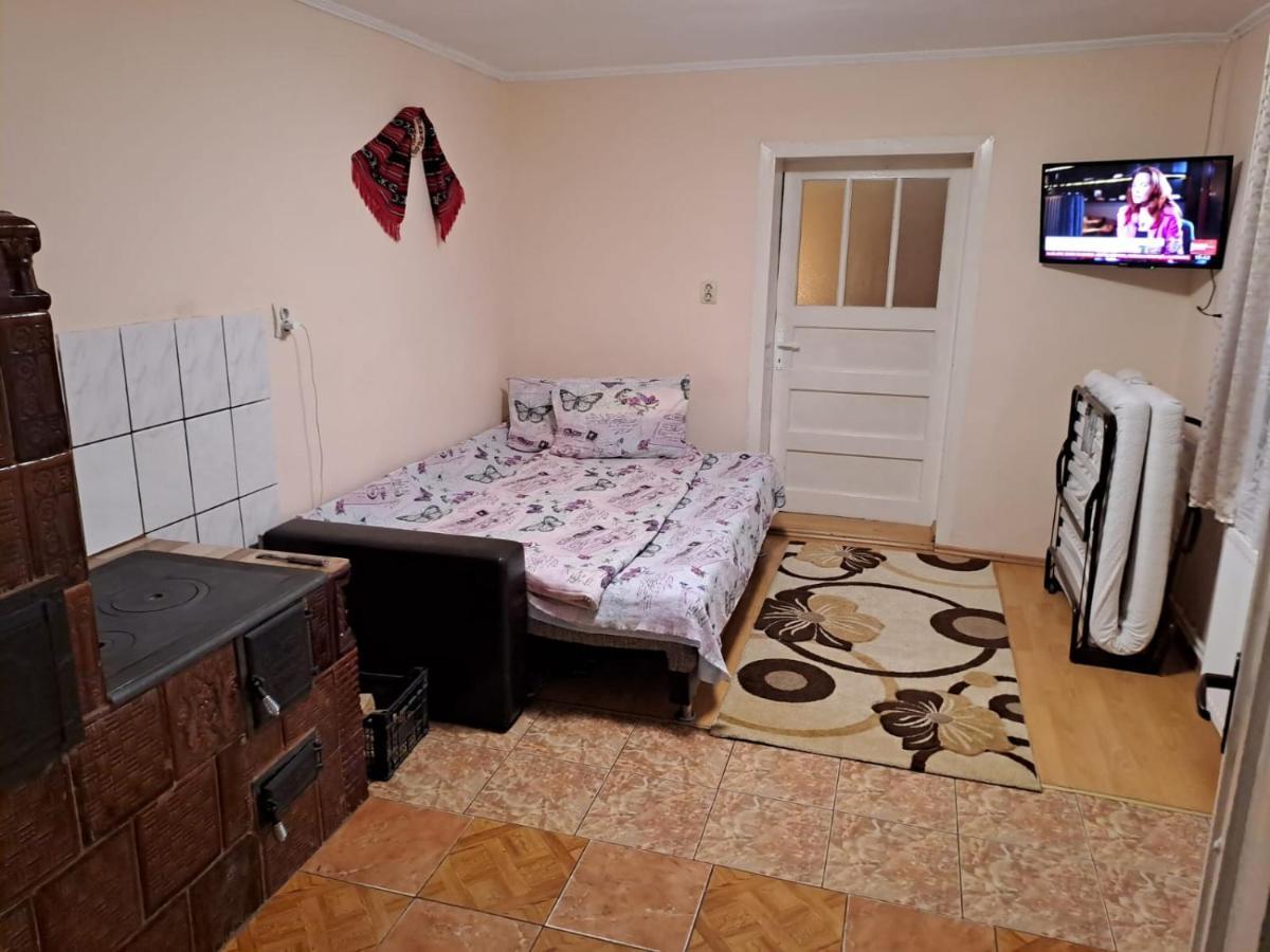Casa Argentina Cîrţişoara