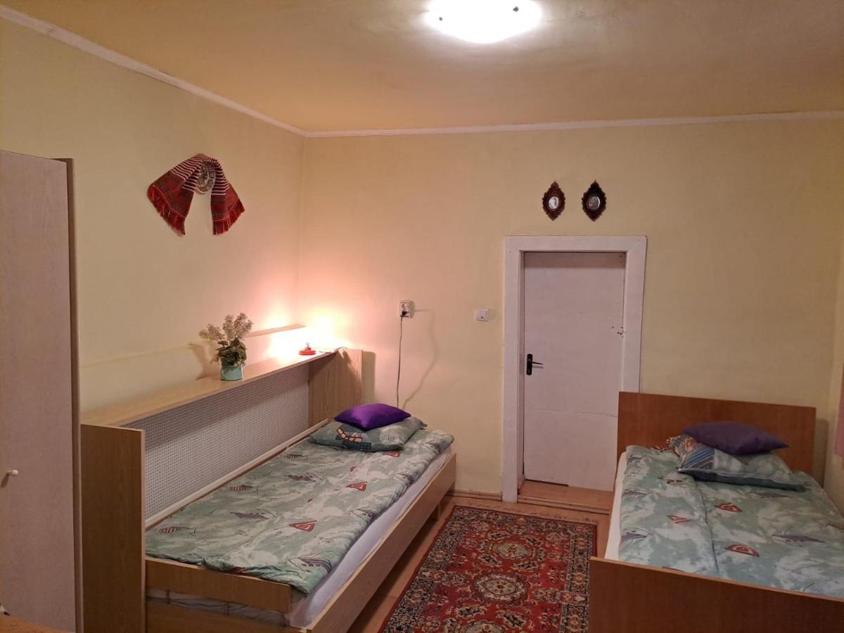 Casa Argentina Cîrţişoara